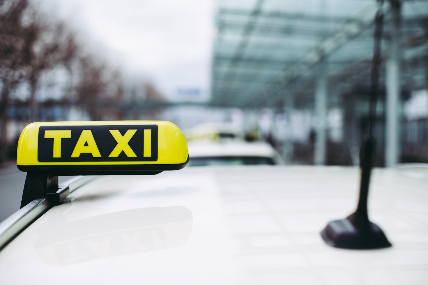 Todo lo que necesitas saber sobre transporte personalizado